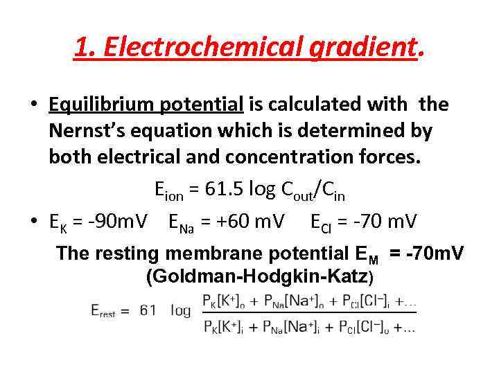 1. Electrochemical gradient. • Equilibrium potential is calculated with the Nernst’s equation which is