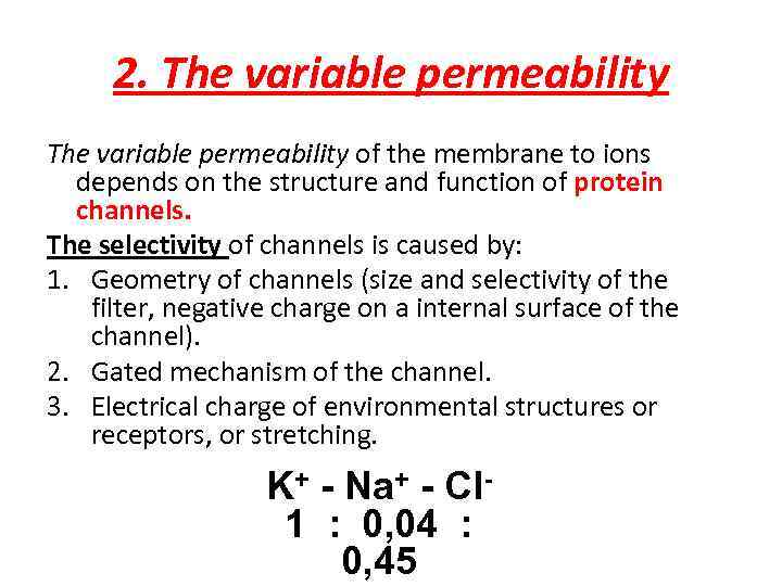 2. The variable permeability of the membrane to ions depends on the structure and
