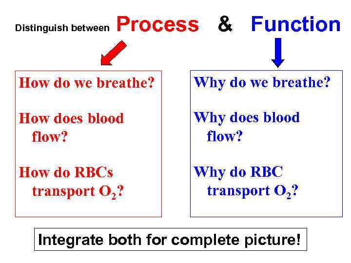 Distinguish between Process & Function How do we breathe? Why do we breathe? How
