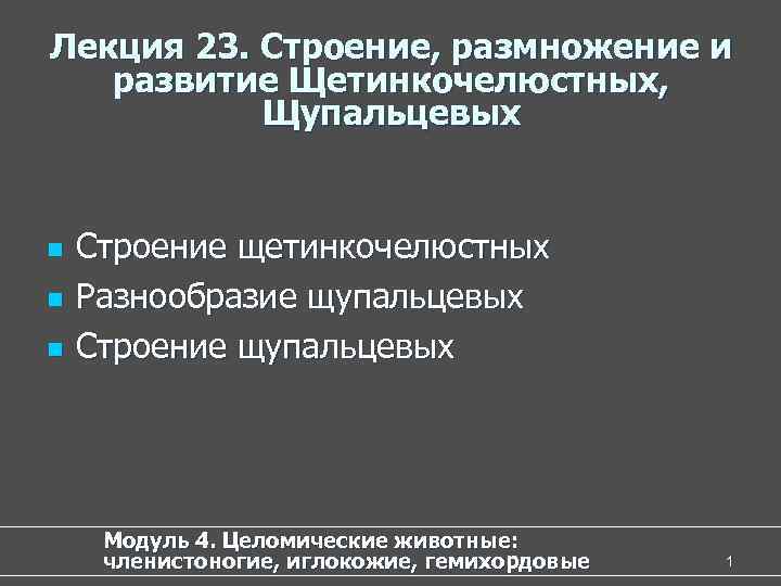 Лекция 23. Строение, размножение и развитие Щетинкочелюстных, Щупальцевых n n n Строение щетинкочелюстных Разнообразие