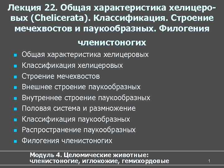 Лекция 22. Общая характеристика хелицеровых (Chelicerata). Классификация. Строение мечехвостов и паукообразных. Филогения членистоногих n