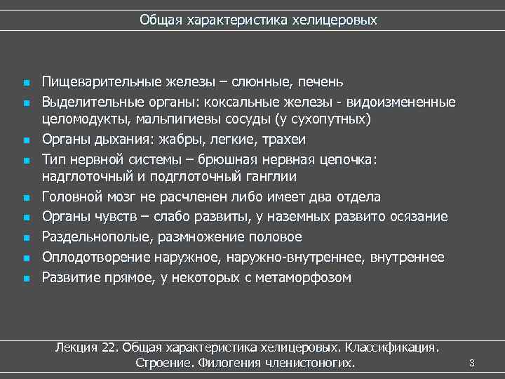 2 2 общая характеристика. Общая характеристика хелицеровых. Особенности строения хелицеровых. Подтип хелицеровые общая характеристика. Общая характеристика хелицеровых кратко.