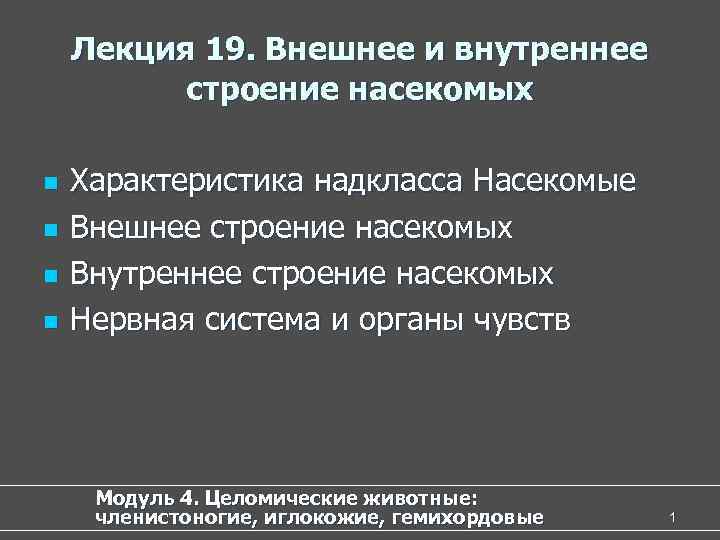 Лекция 19. Внешнее и внутреннее строение насекомых n n Характеристика надкласса Насекомые Внешнее строение