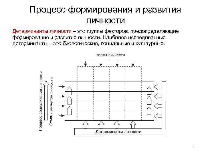 Процесс формирования и развития личности Детерминанты личности – это группы факторов, предопределяющие формирование и