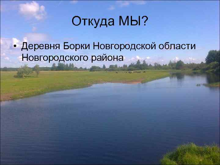 Борки новгородская