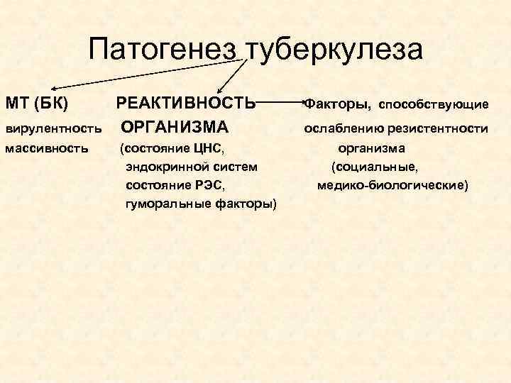 Патогенез туберкулеза