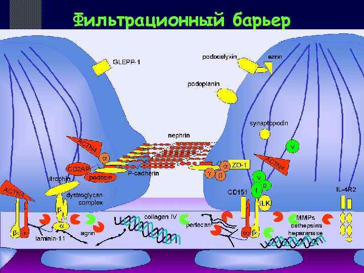 Фильтрационный барьер 