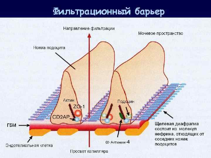 Фильтрационный барьер 