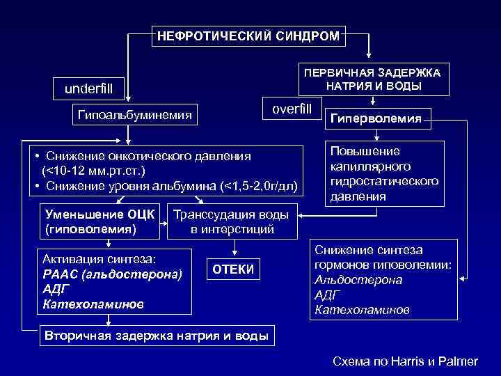 НЕФРОТИЧЕСКИЙ СИНДРОМ ПЕРВИЧНАЯ ЗАДЕРЖКА НАТРИЯ И ВОДЫ underfill overfill Гипоальбуминемия • Снижение онкотического давления