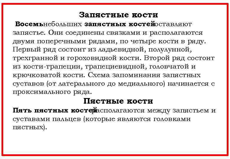 Запястные кости Восемь ебольших запястных костей н составляют запястье. Они соединены связками и располагаются