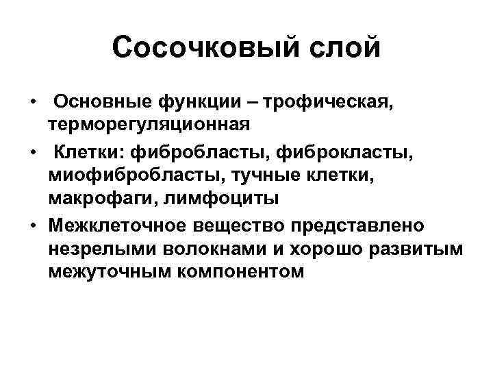 Сосочковый слой • Основные функции – трофическая, терморегуляционная • Клетки: фибробласты, фиброкласты, миофибробласты, тучные