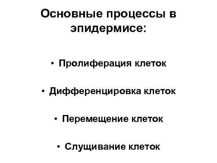 Основные процессы в эпидермисе: • Пролиферация клеток • Дифференцировка клеток • Перемещение клеток •