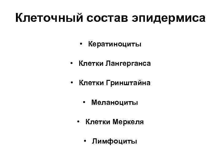 Клеточный состав эпидермиса • Кератиноциты • Клетки Лангерганса • Клетки Гринштайна • Меланоциты •