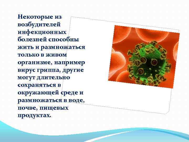 Некоторые из возбудителей инфекционных болезней способны жить и размножаться только в живом организме, например