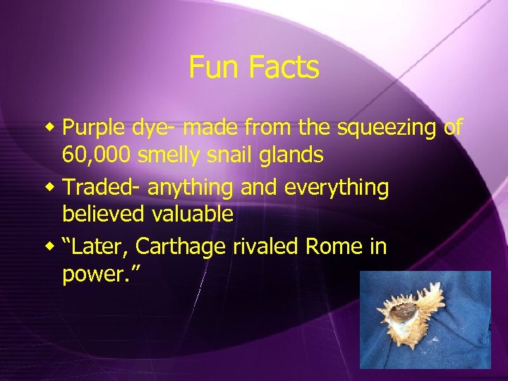 Fun Facts w Purple dye- made from the squeezing of 60, 000 smelly snail