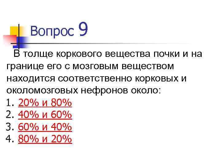 Вопрос 9 В толще коркового вещества почки и на границе его с мозговым веществом