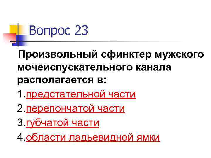 Произвольный сфинктер мочеиспускательного канала располагается. Сфинктеры мужской уретры. Произвольный сфинктер мочеиспускательного канала. Произвольный сфинктер мочеиспускательного канала образован. Произвольный сфинктер мужского мочеиспускательный канал находится в.