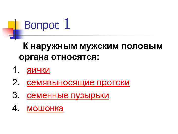 Вопрос 1 К наружным мужским половым органа относятся: 1. яички 2. семявыносящие протоки 3.