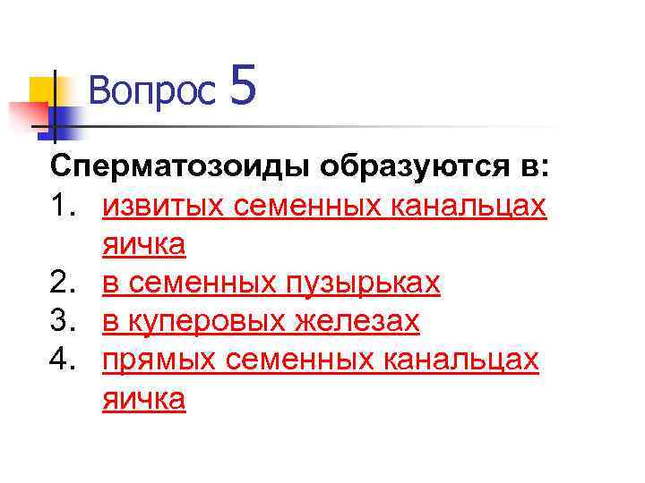 Вопрос 5 Сперматозоиды образуются в: 1. извитых семенных канальцах яичка 2. в семенных пузырьках