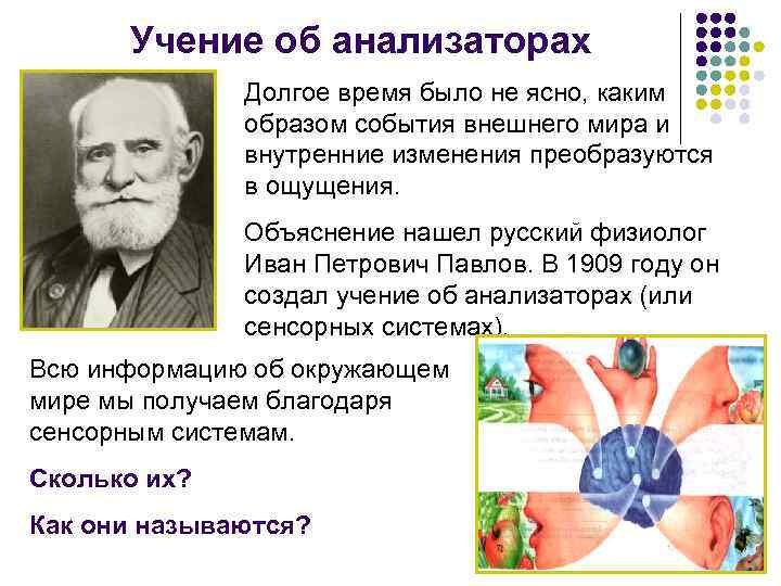 Учение об анализаторах Долгое время было не ясно, каким образом события внешнего мира и
