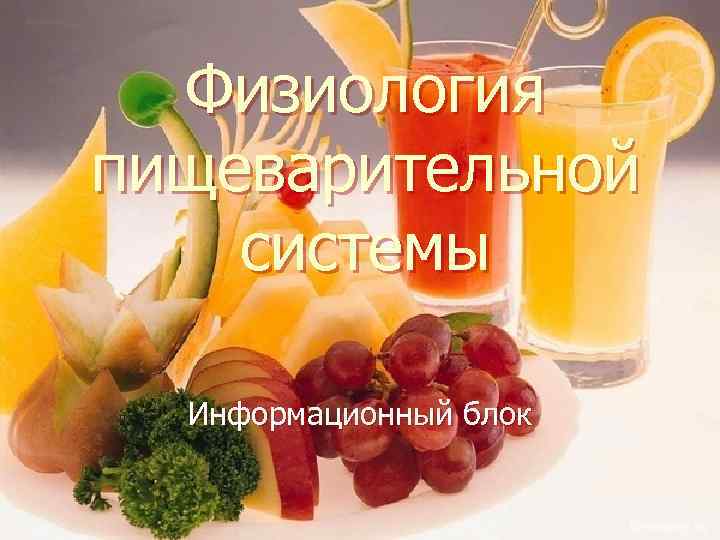 Физиология пищеварительной системы Информационный блок 