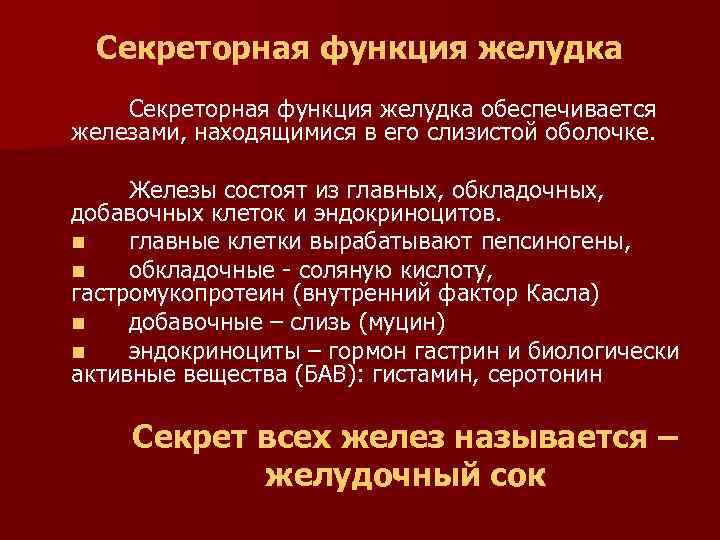 Секреторная функция желудка обеспечивается железами, находящимися в его слизистой оболочке. Железы состоят из главных,