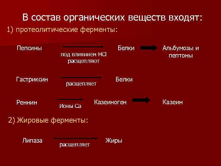 Ферменты расщепляющие белки. Фермент гастриксин расщепляют. Ферменты которые расщепляют белки. Пепсин и гастриксин расщепляют. Протеолитический фермент, расщепляющий белки..