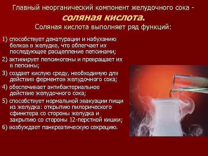 Главный неорганический компонент желудочного сока - соляная кислота. Соляная кислота выполняет ряд функций: 1)