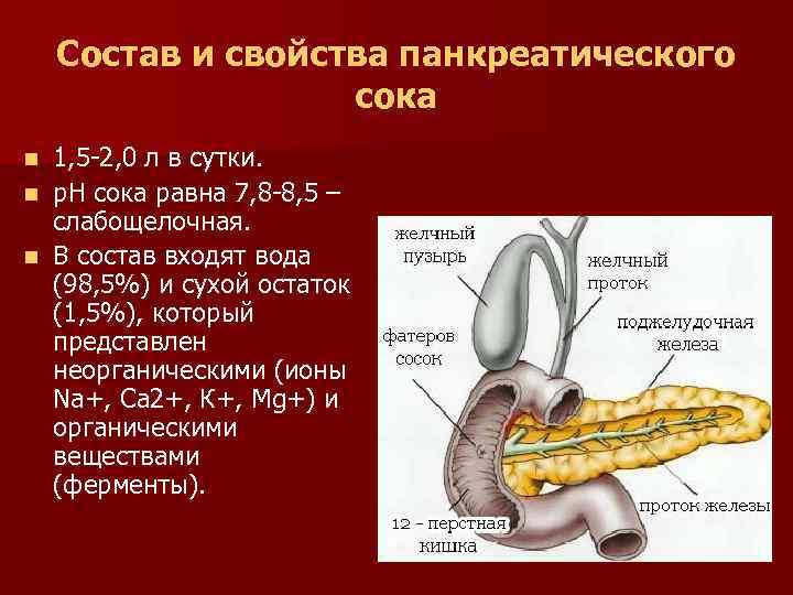 Состав и свойства панкреатического сока 1, 5 -2, 0 л в сутки. n р.