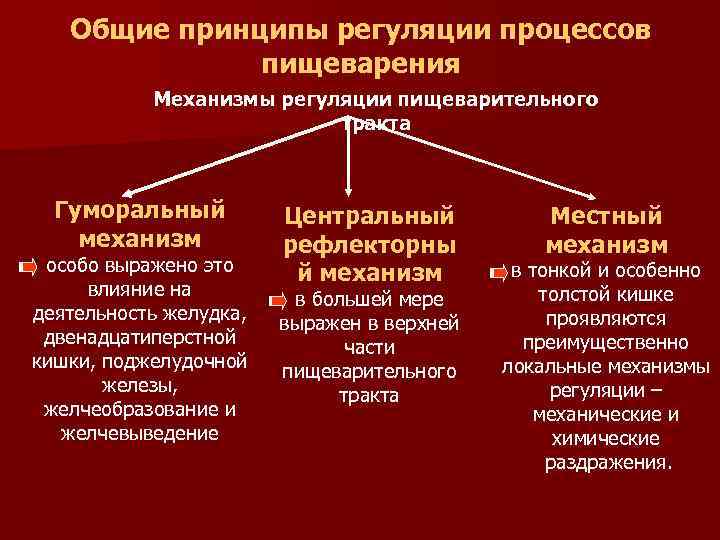 Общие принципы регуляции процессов пищеварения Механизмы регуляции пищеварительного тракта Гуморальный механизм особо выражено это
