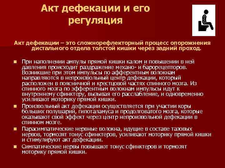 2 дефекация. Регуляция акта дефекации. Акт дефекации и его регуляция физиология. Произвольный акт дефекации осуществляется при участии центров:. Механизм акта дефекации физиология.