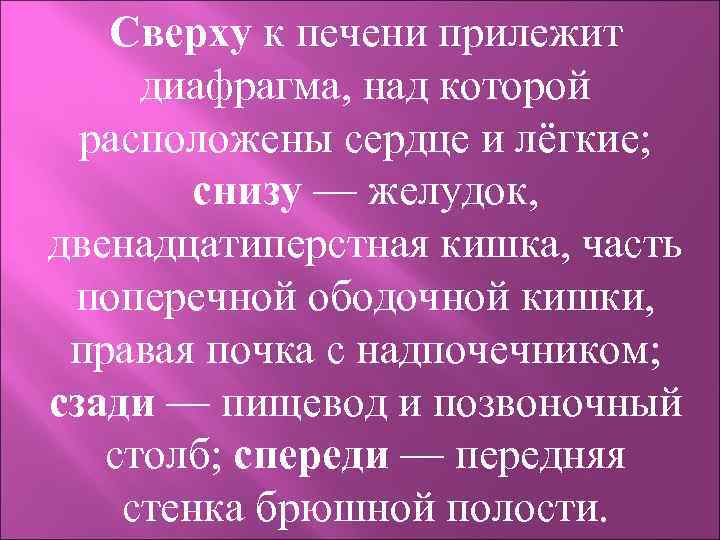 Сверху к печени прилежит диафрагма, над которой расположены сердце и лёгкие; снизу — желудок,