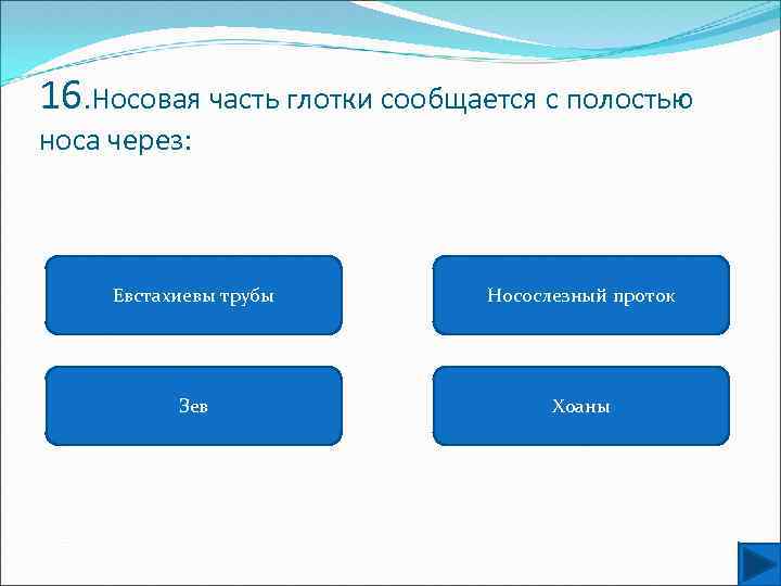 16. Носовая часть глотки сообщается с полостью носа через: Евстахиевы трубы Носослезный проток Зев