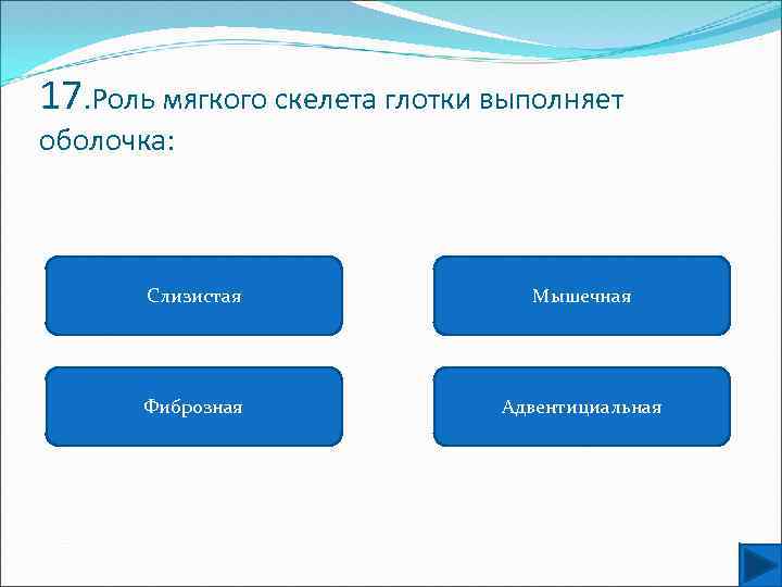 17. Роль мягкого скелета глотки выполняет оболочка: Слизистая Мышечная Фиброзная Адвентициальная 