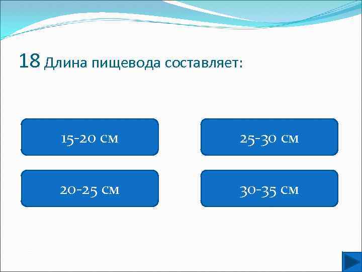 18 Длина пищевода составляет: 15 -20 см 25 -30 см 20 -25 см 30