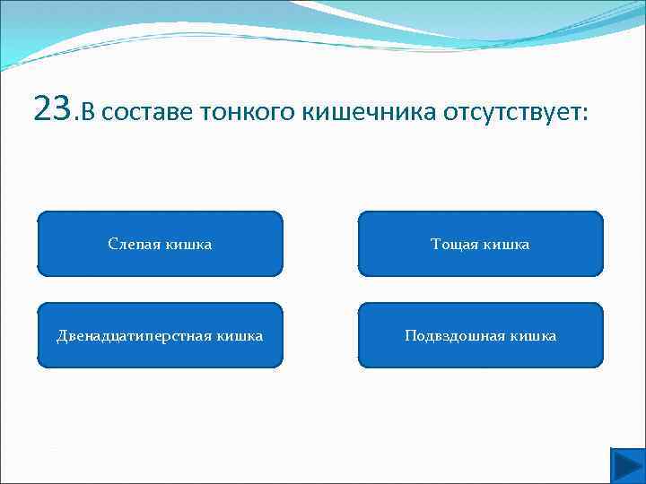 Основания тел. В составе тонкого кишечника отсутствует. Для тонкого кишечника характерно отсутствие. Для тонкого кишечника характерно отсутствие микроворсинок. Состав тонкая.