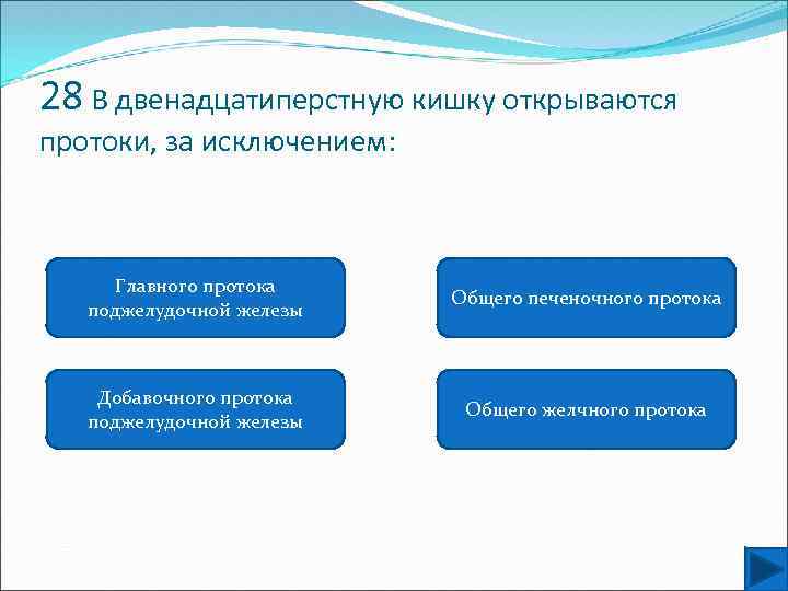 28 В двенадцатиперстную кишку открываются протоки, за исключением: Главного протока поджелудочной железы Общего печеночного