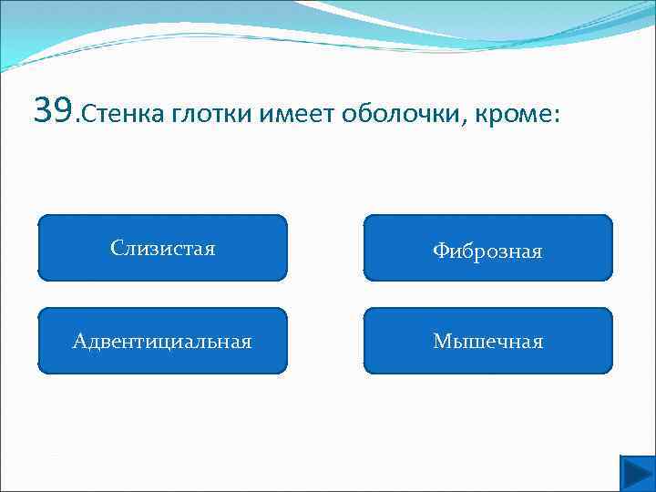 39. Стенка глотки имеет оболочки, кроме: Слизистая Фиброзная Адвентициальная Мышечная 