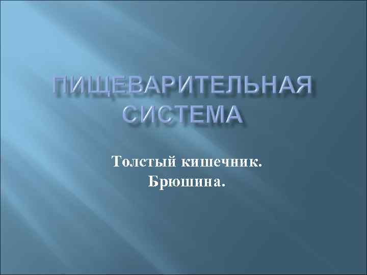Толстый кишечник. Брюшина. 