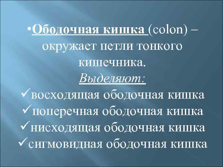  • Ободочная кишка (colon) – окружает петли тонкого кишечника. Выделяют: üвосходящая ободочная кишка