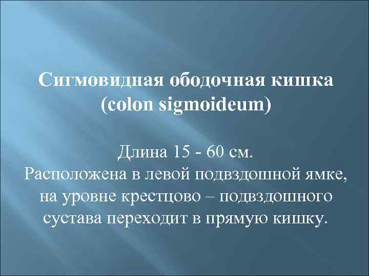 Сигмовидная ободочная кишка (colon sigmoideum) Длина 15 - 60 см. Расположена в левой подвздошной
