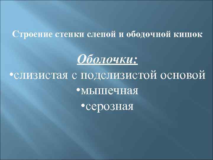 Строение стенки слепой и ободочной кишок Оболочки: • слизистая с подслизистой основой • мышечная