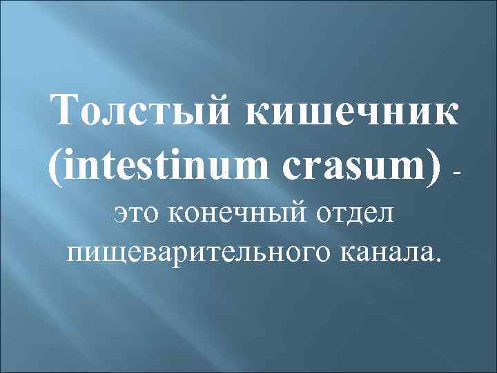 Толстый кишечник (intestinum crasum) это конечный отдел пищеварительного канала. 