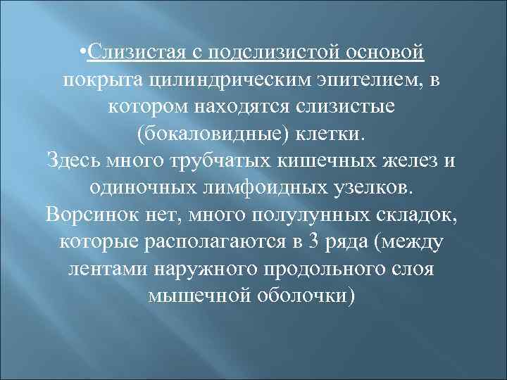  • Слизистая с подслизистой основой покрыта цилиндрическим эпителием, в котором находятся слизистые (бокаловидные)