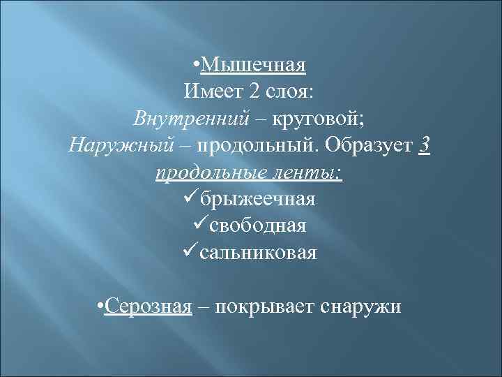  • Мышечная Имеет 2 слоя: Внутренний – круговой; Наружный – продольный. Образует 3