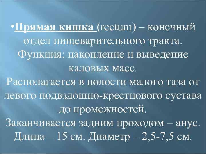  • Прямая кишка (rectum) – конечный отдел пищеварительного тракта. Функция: накопление и выведение