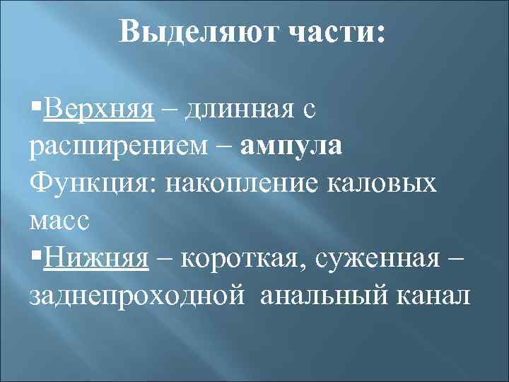 Выделяют части: §Верхняя – длинная с расширением – ампула Функция: накопление каловых масс §Нижняя