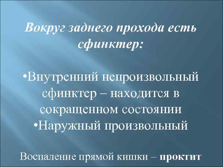 Вокруг заднего прохода есть сфинктер: • Внутренний непроизвольный сфинктер – находится в сокращенном состоянии