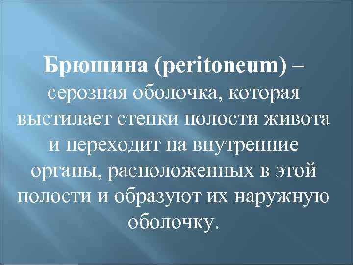 Брюшина (peritoneum) – серозная оболочка, которая выстилает стенки полости живота и переходит на внутренние