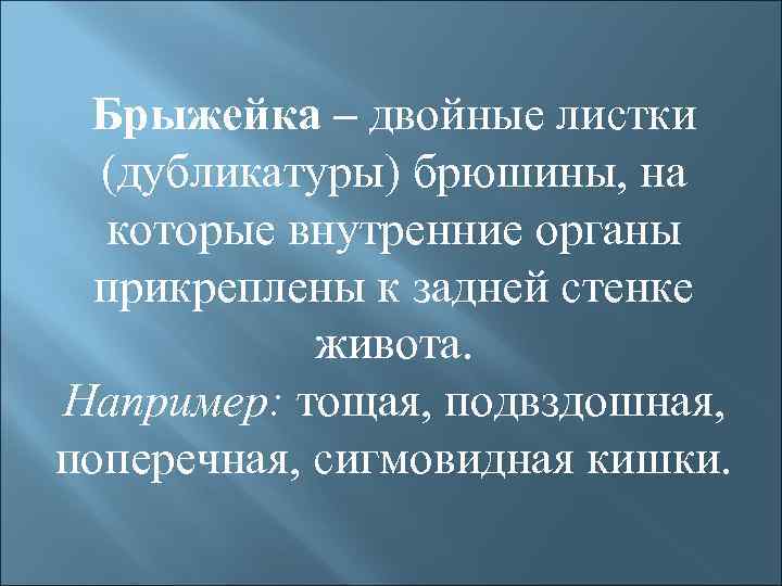 Брыжейка – двойные листки (дубликатуры) брюшины, на которые внутренние органы прикреплены к задней стенке